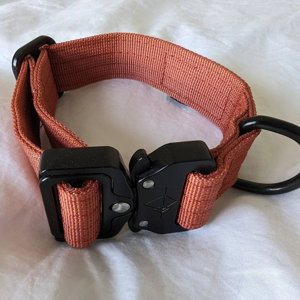 Roam Dog Collar Heavy Duty For Small & Medium Dogs